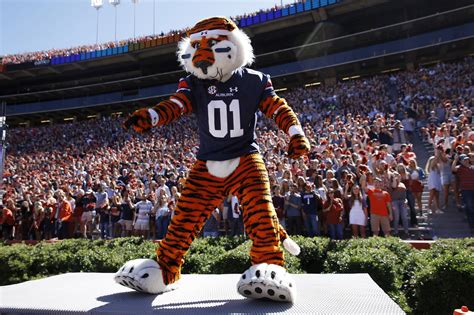 The Impact of the Auburn Tigers Athletics Mascot on Recruitment and Team Morale